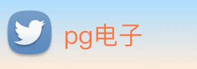 pg电子 logo